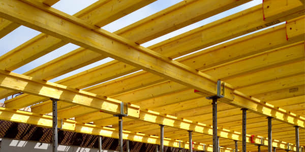 Scaffolding forkhead