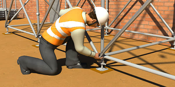 Scaffold Structure and Stability